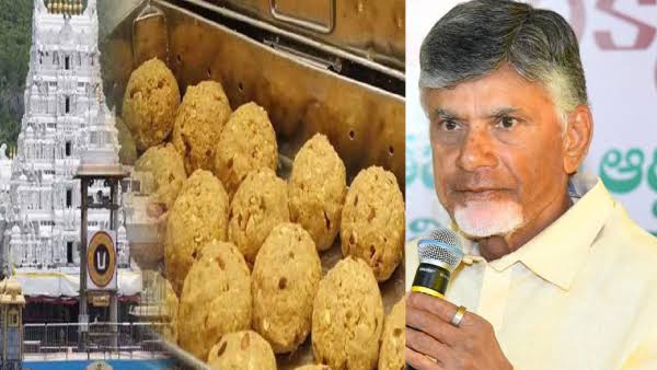 You are currently viewing Beef Fat in Tirupati Laddu: A Scandal Rocks the Faith of Millions