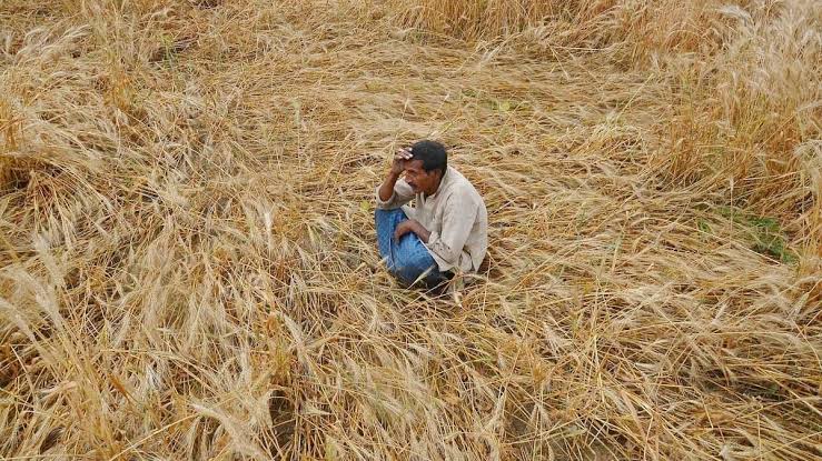 You are currently viewing The Irony of Progress: Punjab’s Farmers in the Wake of Repealed Farm Laws